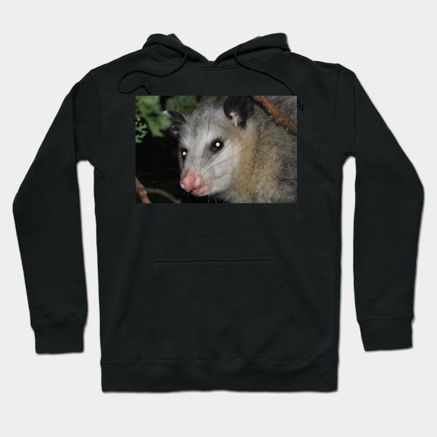 Possum Hoodie by MarieDarcy